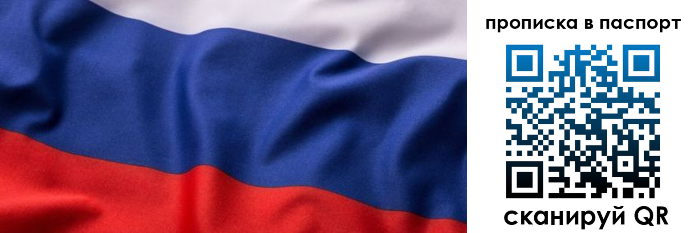 прописка для школы в Светлогорске