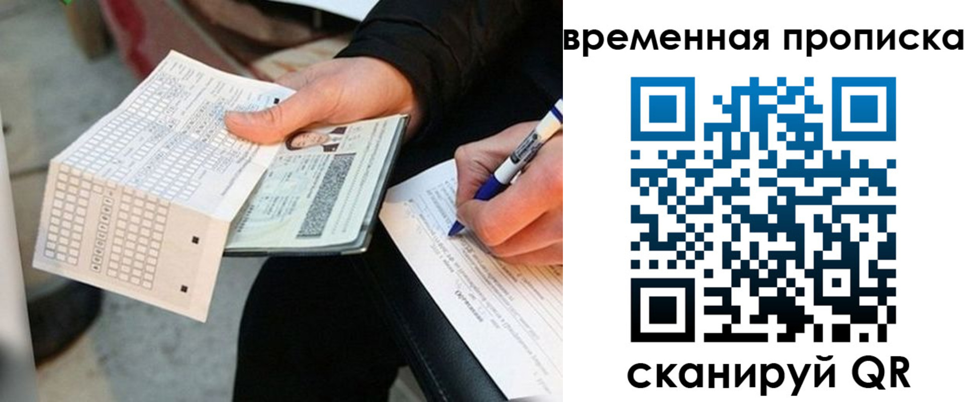 временная регистрация для всех в Светлогорске