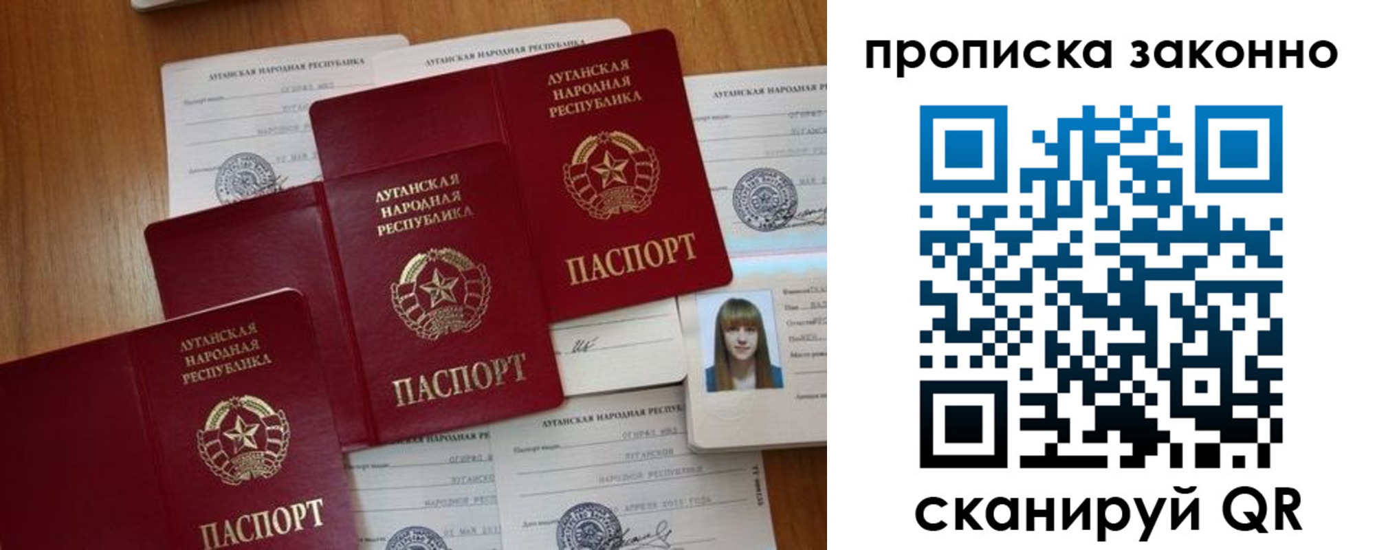 миграционный учет в Светлогорске