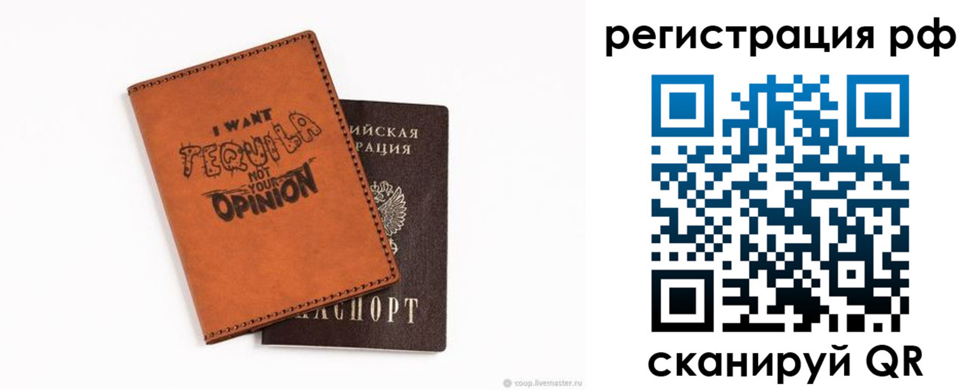 пропишу в квартире в Светлогорске